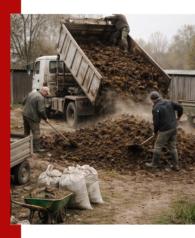 Доставка коровьего навоза самосвалом в Нижнем Тагиле